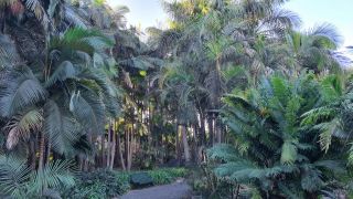2024-01-GranCan-Jardin_de_la_Marquesa-061.jpg